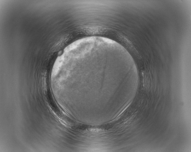 X0000053130590200508081320