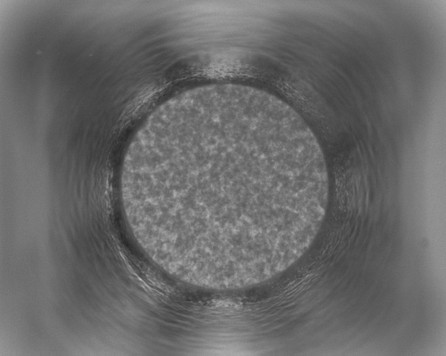 X0000053130592200508081320