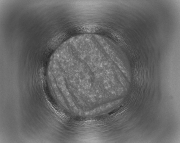 X0000053130594200508081320