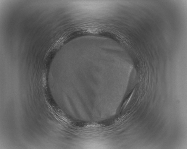 X0000053130595200508081320