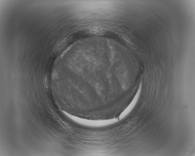 X0000053130597200508081320