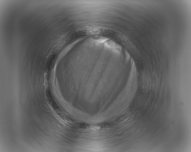 X0000053130598200508081320