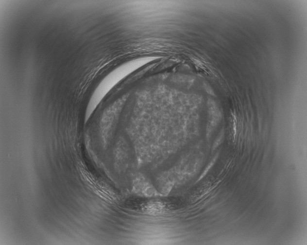 X0000053130600200508081320