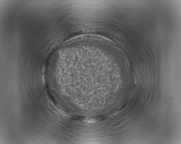 X0000053130604200508081320