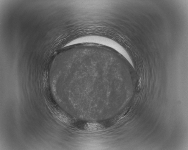 X0000053130605200508081320