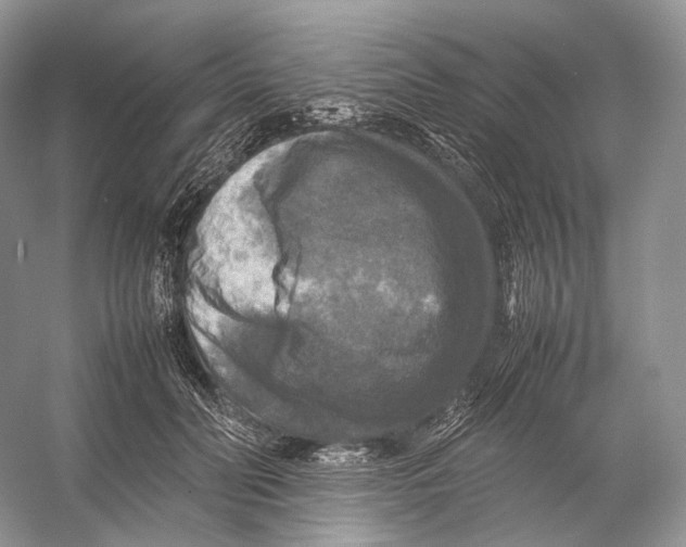 X0000053130606200508081320