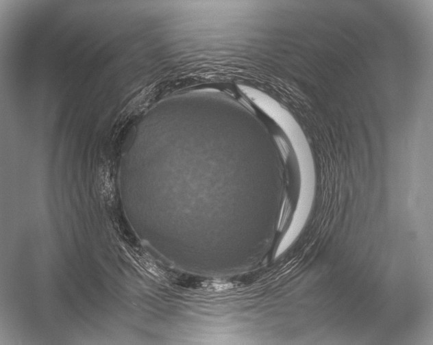 X0000053130607200508081320