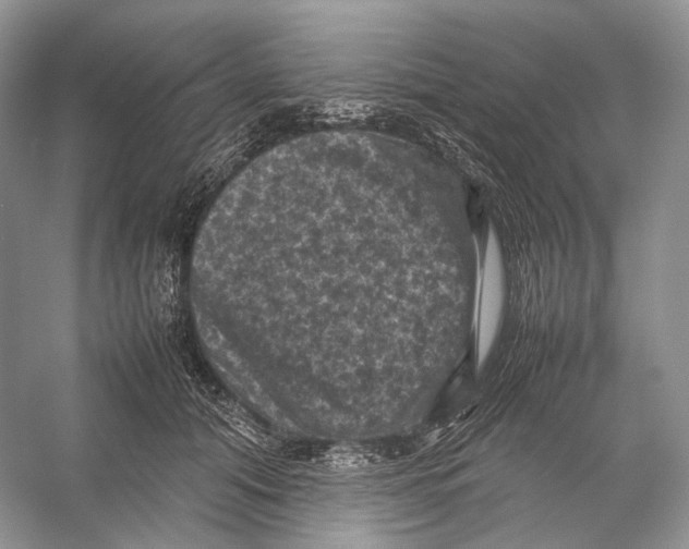 X0000053130608200508081320