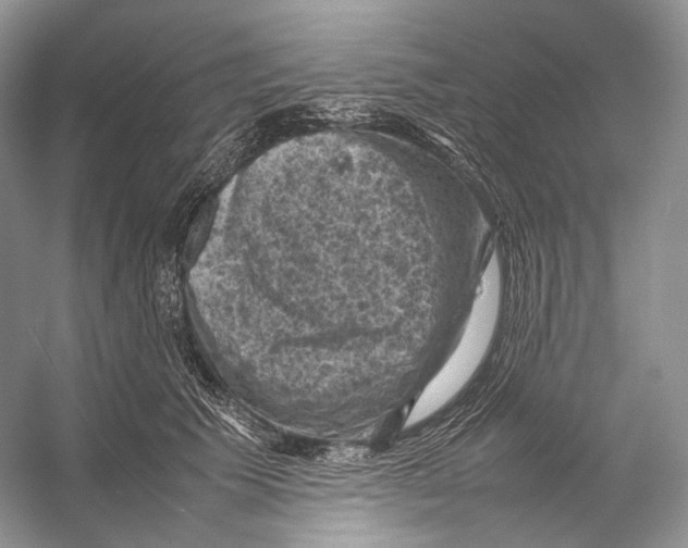 X0000053130609200508081320