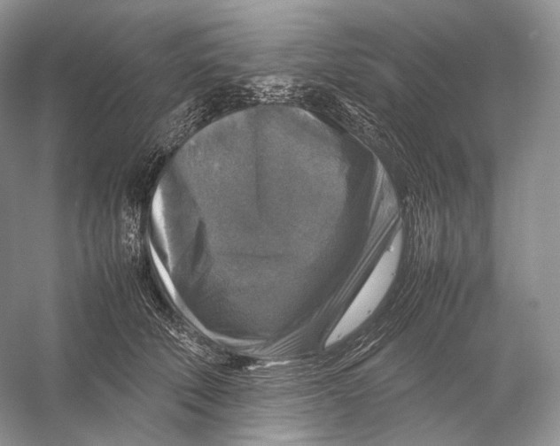 X0000053130610200508081320