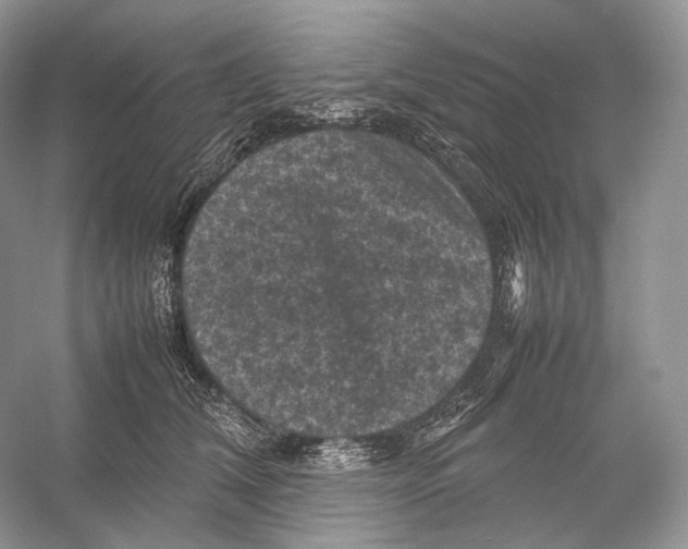 X0000053130612200508081320