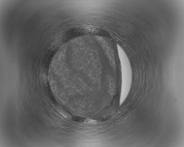 X0000053130613200508081320