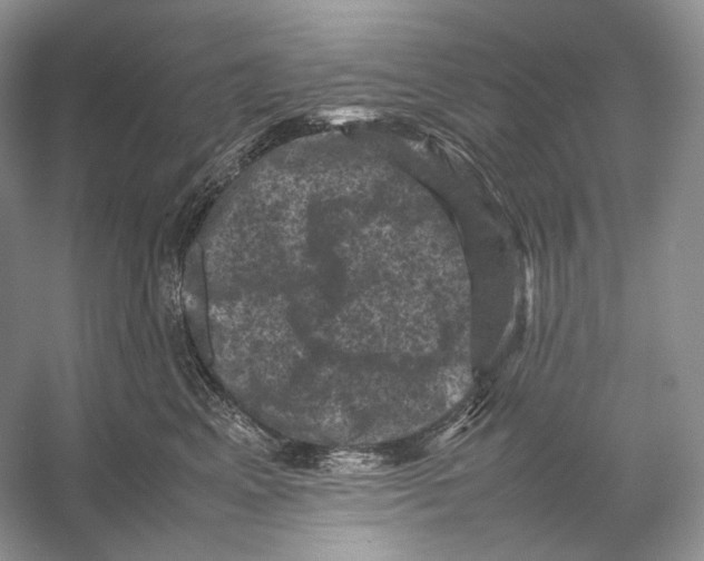 X0000053130617200508081320