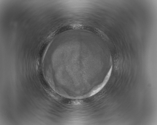 X0000053130618200508081320