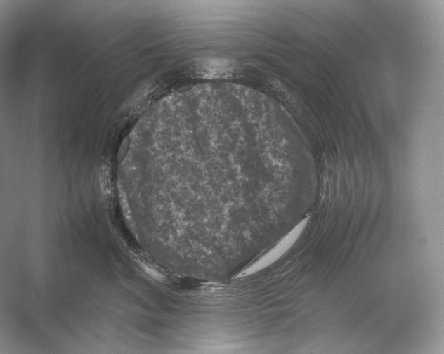 X0000053130620200508081319