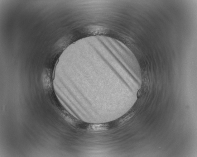 X0000053130622200508081319