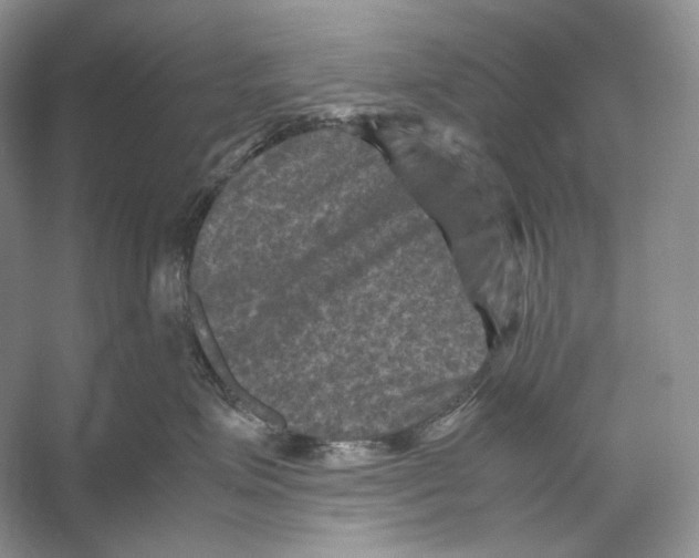 X0000053130623200508081319