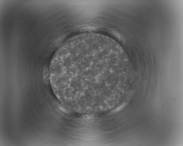 X0000053130624200508081319