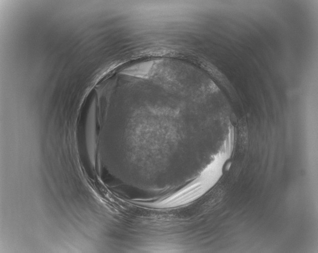 X0000053130626200508081319