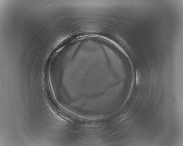 X0000053130627200508081319