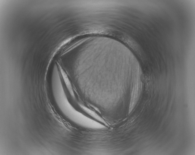 X0000053130628200508081319