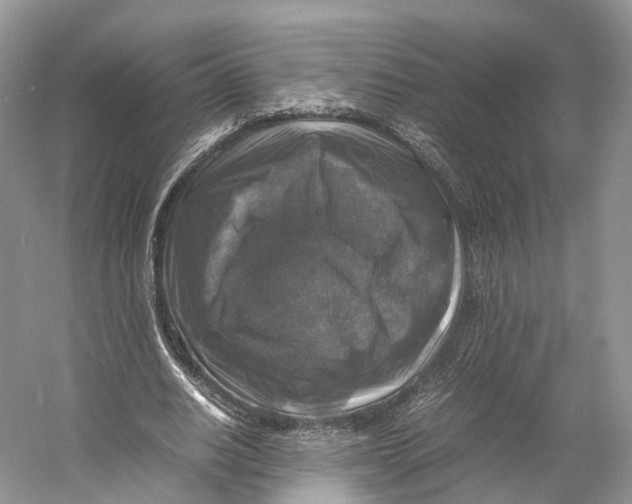 X0000053130630200508081319