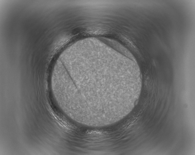 X0000053130635200508081319