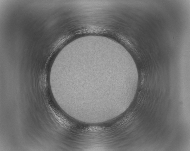X0000053130636200508081319