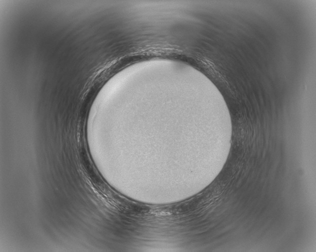 X0000053130640200508081319