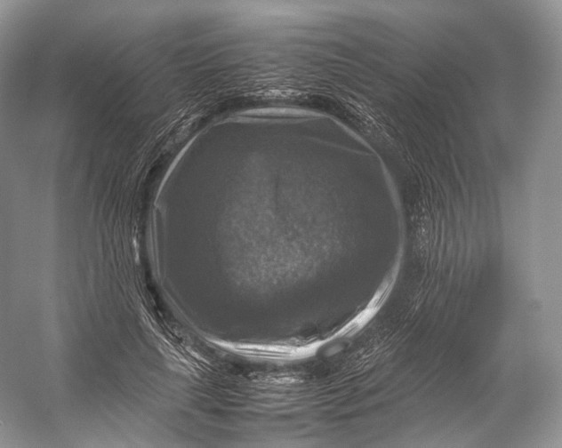 X0000053130643200508081319