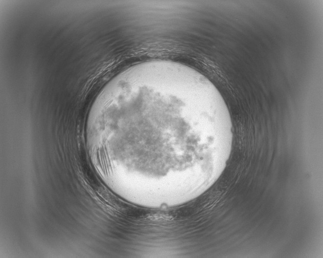 X0000053130644200508081319