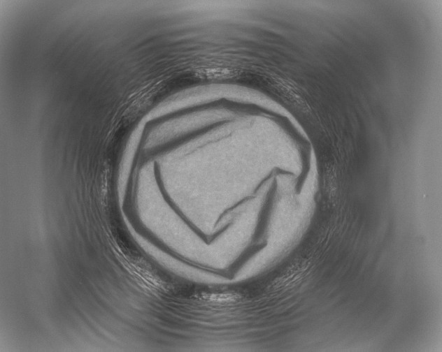 X0000053130645200508081319