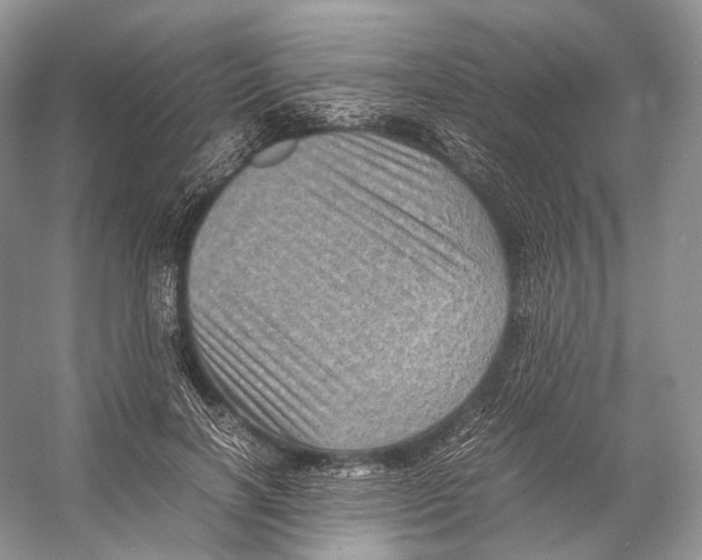 X0000053130646200508081319