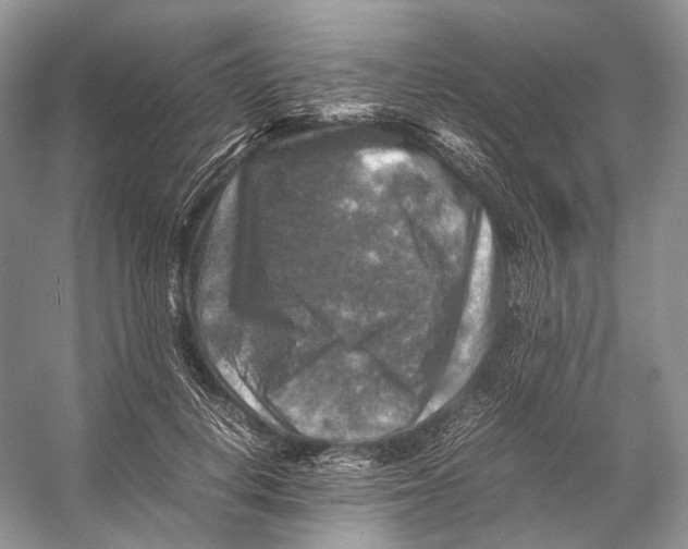 X0000053130648200508081319