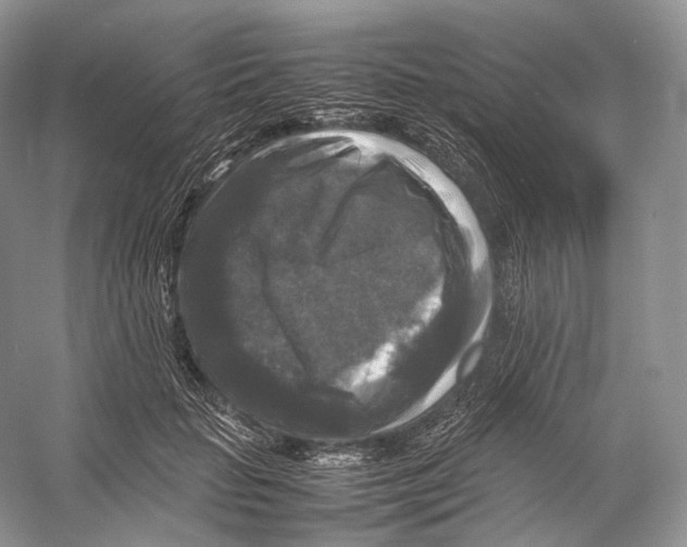 X0000053130653200508081319