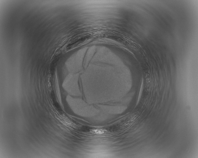 X0000053130654200508081319