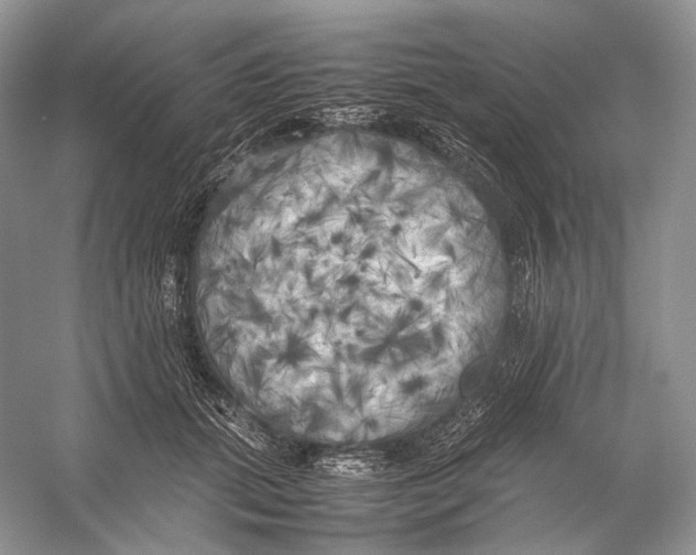X0000053130655200508081319