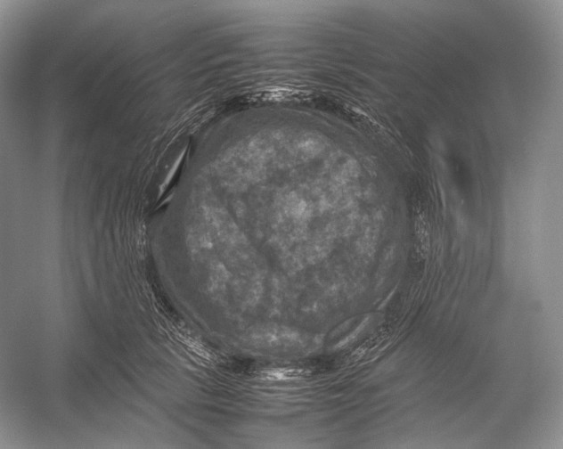 X0000053130657200508081319
