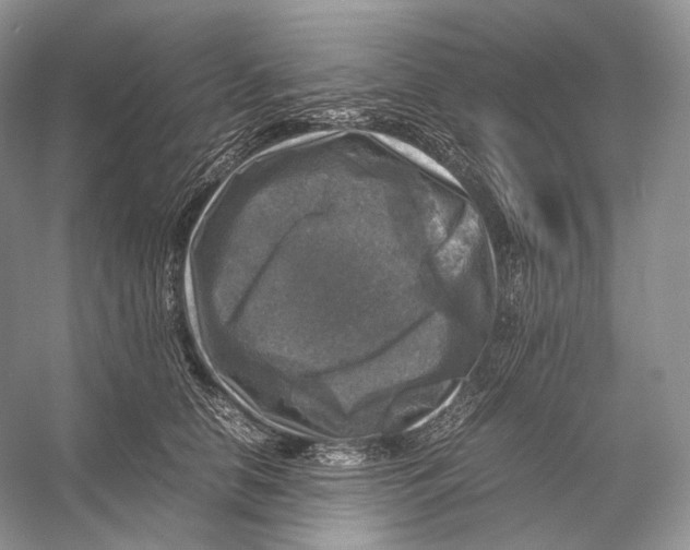 X0000053130658200508081319