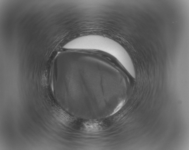 X0000053130661200508081319