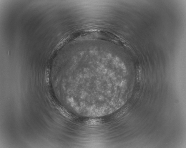 X0000053130664200508081319