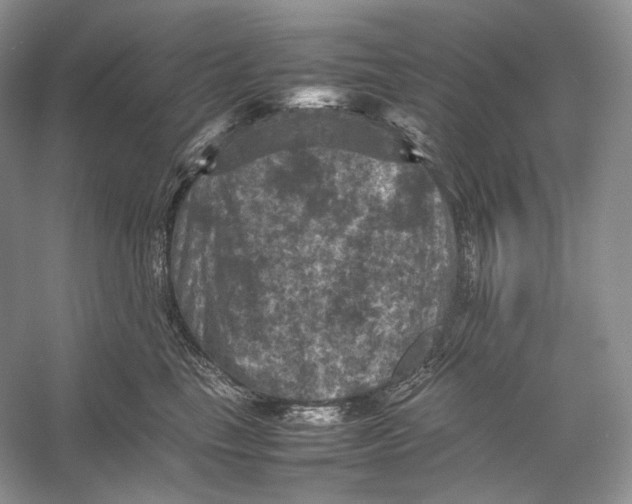 X0000053130665200508081319