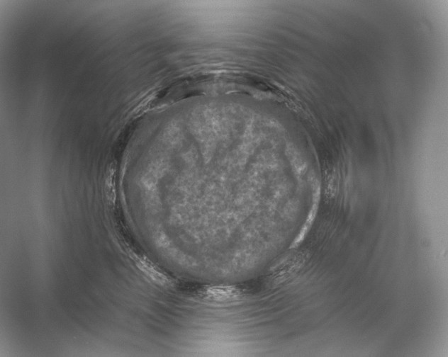 X0000053130666200508081319