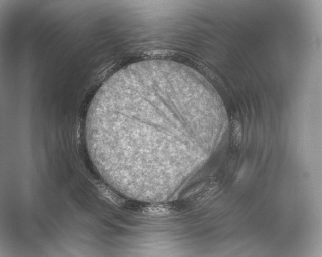 X0000053130668200508081319