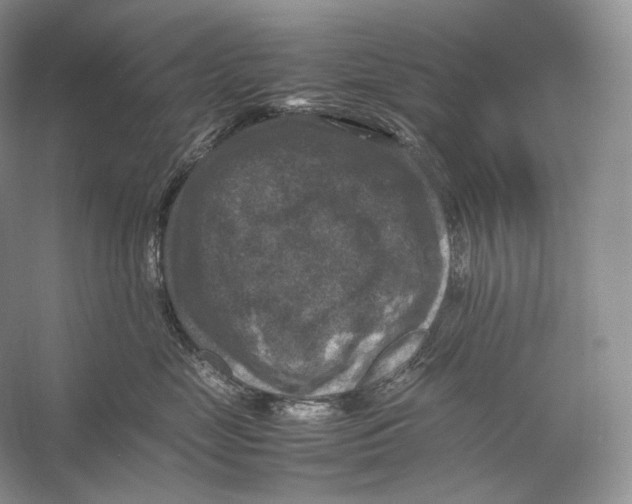 X0000053130669200508081319