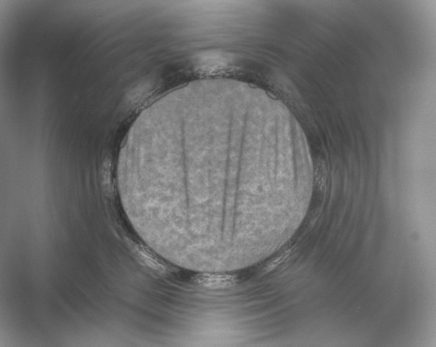 X0000053130670200508081319