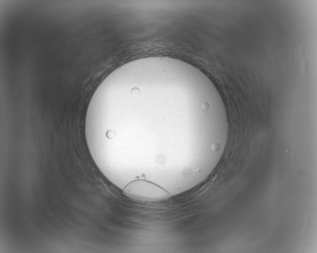 X0000053130672200508081319