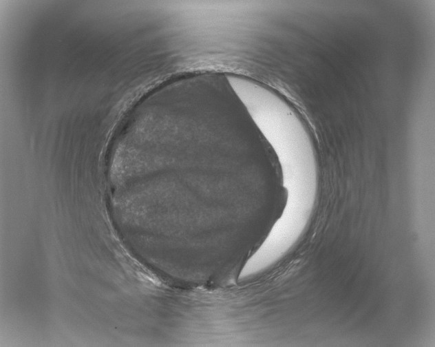 X0000053130673200508081319