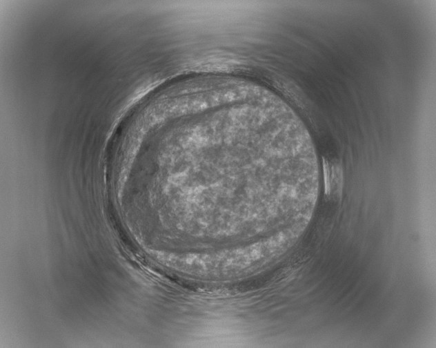 X0000053130675200508081319