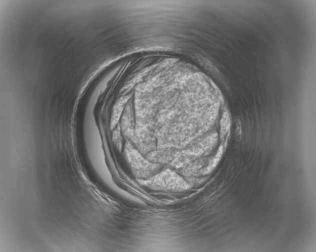 X0000053130676200508081319